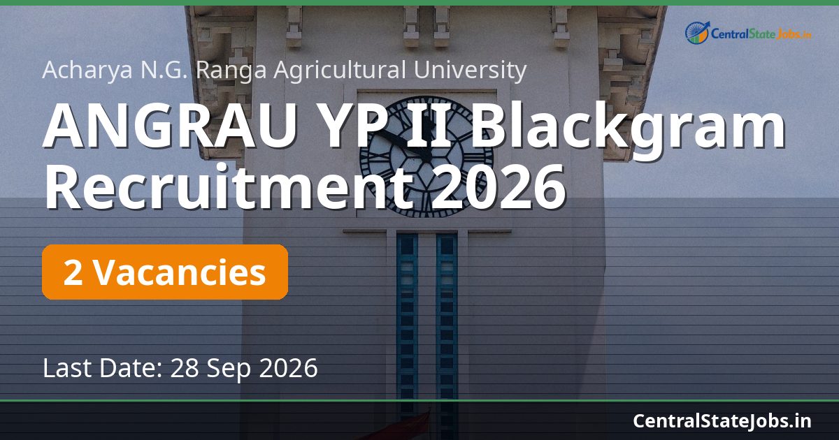 ANGRAU YP II Blackgram Recruitment 2026