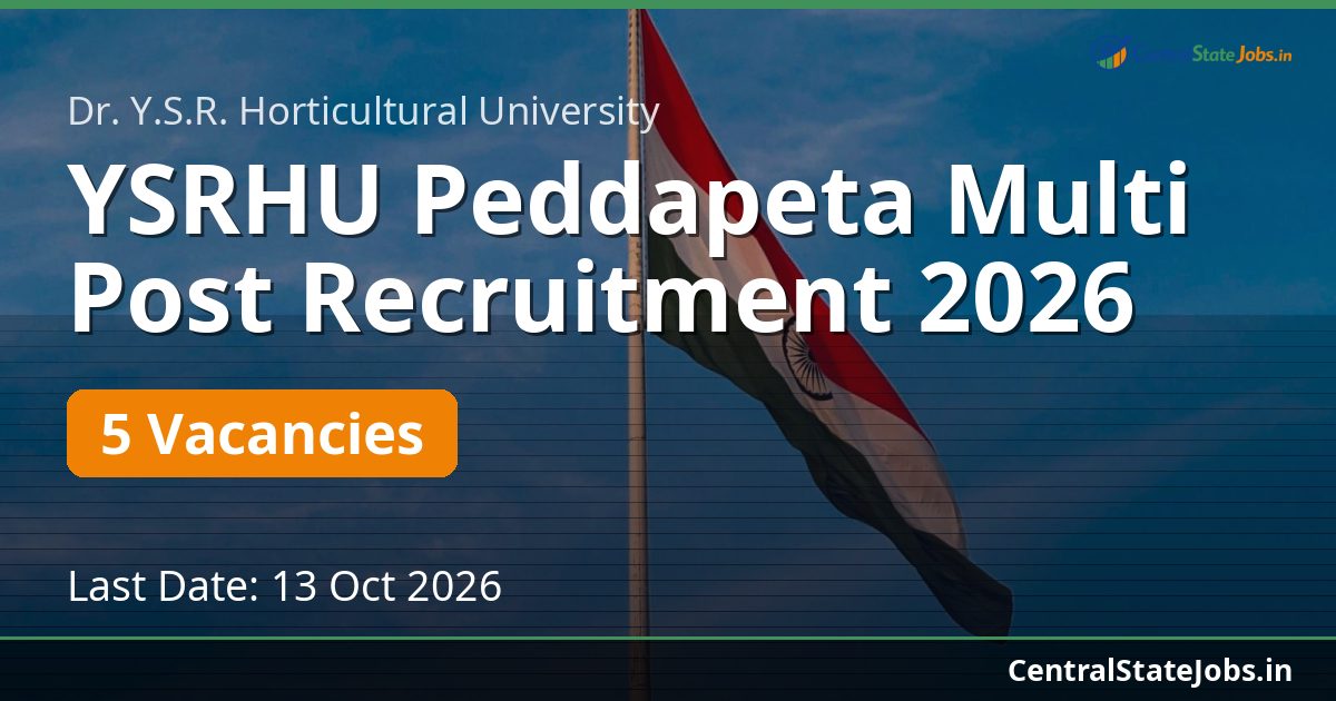 YSRHU Peddapeta Multi Post Recruitment 2026
